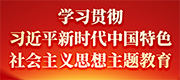 學(xué)習(xí)貫徹習(xí)近平新時(shí)代中國(guó)特色社會(huì)主義思想主題教育